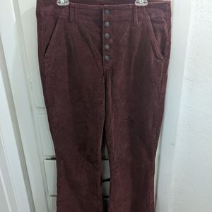 Size 16 American Eagle High waisted bootcut corduroy rust colored stretch pants